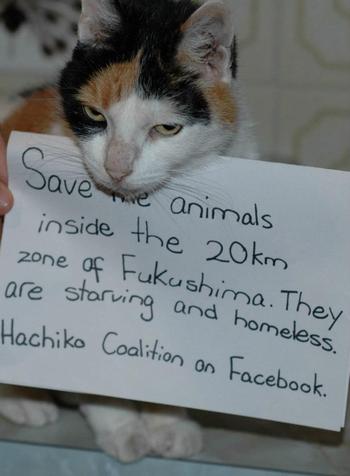 拡散希望！海外から福島動物救済プロジェクト
