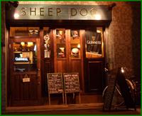 【バイトワン】SHEEP DOG（シープドッグ） | 大阪の飲食店アルバイト・バイト求人