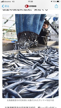 脂の乗った秋刀魚さんでグビっと一杯やりたいね。＠SmartNewsより