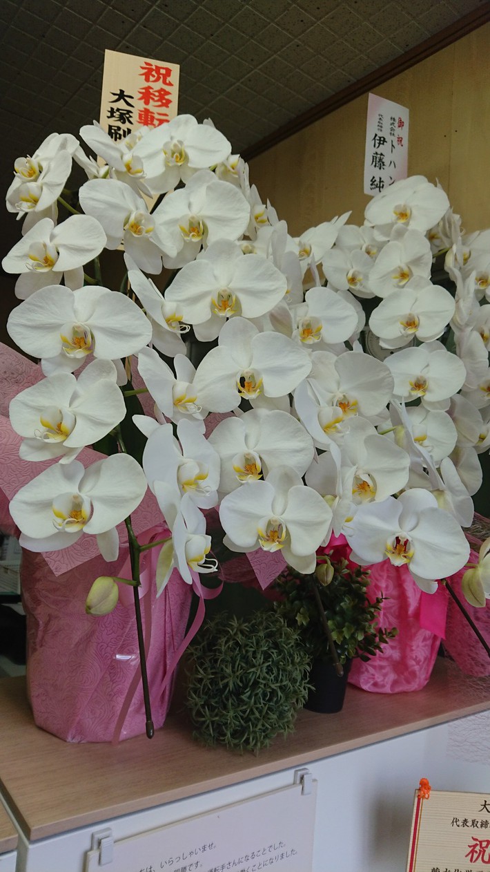 お花１