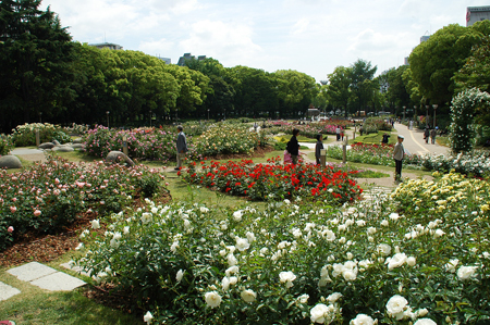 靱公園