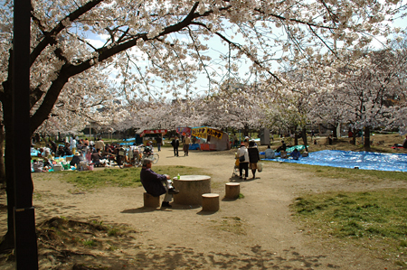 毛馬桜之宮公園