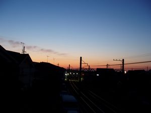 朝