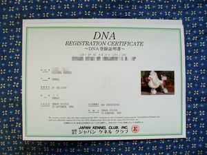 DNA登録証明書