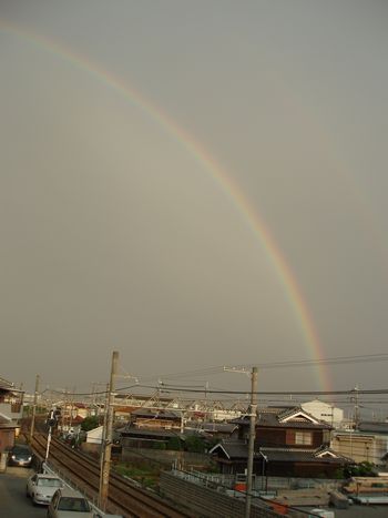 虹