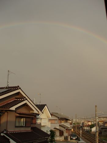 虹