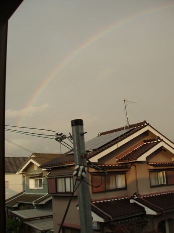 虹