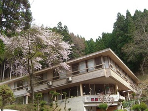 やっと春さくら
