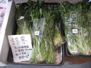今、野菜はこんなのがあります。