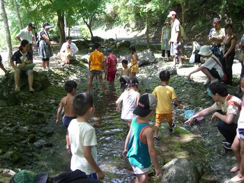 夏祭りの鮎つかみ