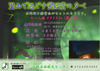里山で観るホタル