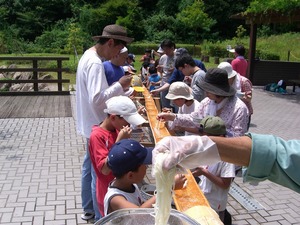 流しそうめんか、そうめん流しか?その1