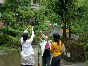 七夕さま