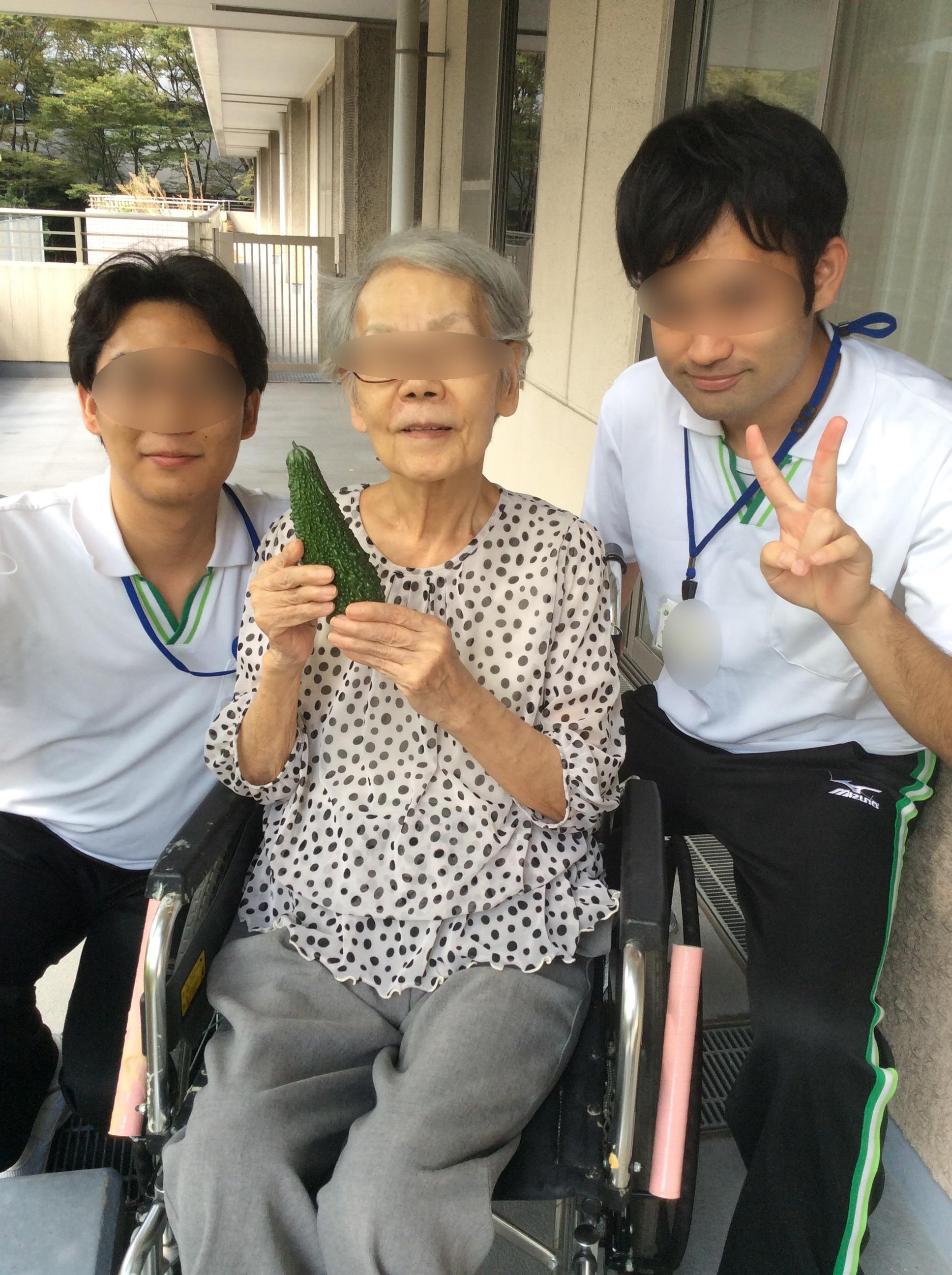 園芸の経過報告! 園芸の経過報告!