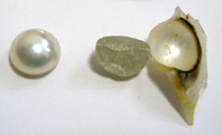半形真珠の分解1