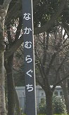 大泉緑地の‘中村ブランコ’について、教えてください!
