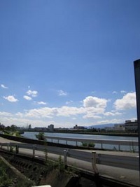 ベゴニア三連符(シャッフル)