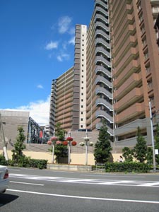 ベゴニア三連符(シャッフル)