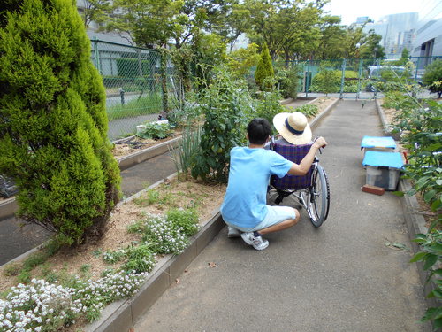 お散歩