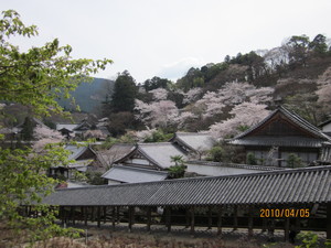 関西花のお寺