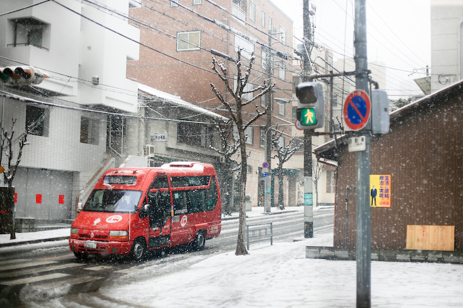 雪が降った