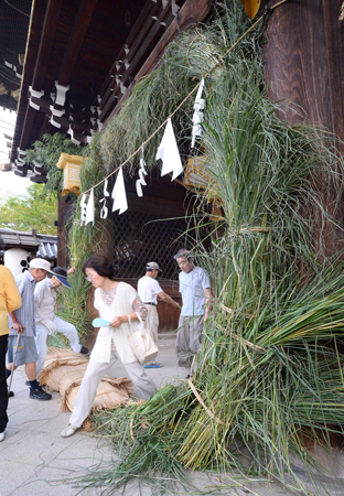 夏越の祓い 茅の輪くぐり 夏近し 夏越の祓い 茅の輪くぐり 夏近し
