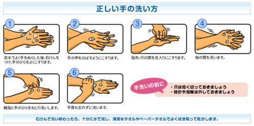 正しい手の洗い方がとても大事，コロナウイルス感染予防に