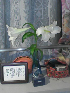 百合の花のオイル