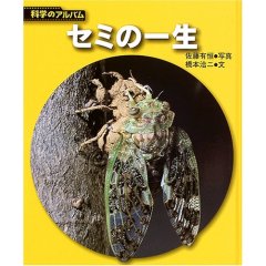 蝉の一生と人の一生 どちらが短く幸せか?