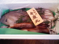 弁慶丸の天然魚