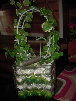 観葉植物