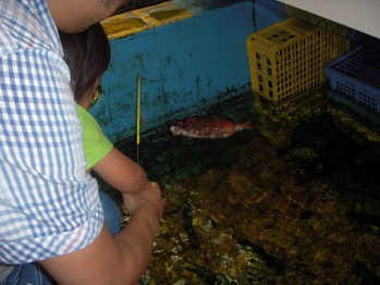魚釣り