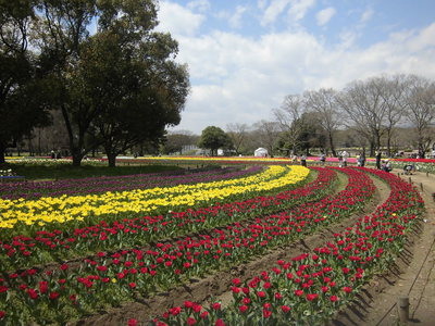 町の酒屋古木 大阪 万博記念公園近くのお酒専門店 4月29日 30日カレーエキスポ1st 万博記念公園にて開催