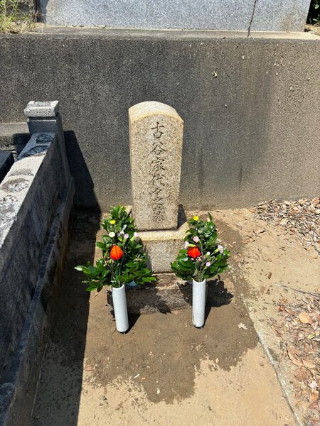 頭はあがらない 不遇な時代を生きた 頭はあがらない 不遇な時代を生きた