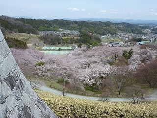 東北ツアー②二本松・霞ヶ城公園