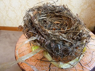 我が家に残されている鳥の巣