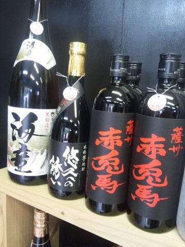 新商品が続々入荷中！