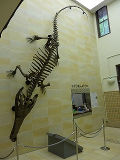 阪大博物館特別展　『巨大ワニと恐竜の世界』