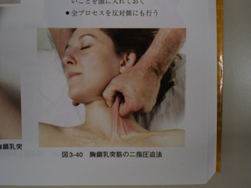 偏頭痛の解消法! 偏頭痛の解消法!