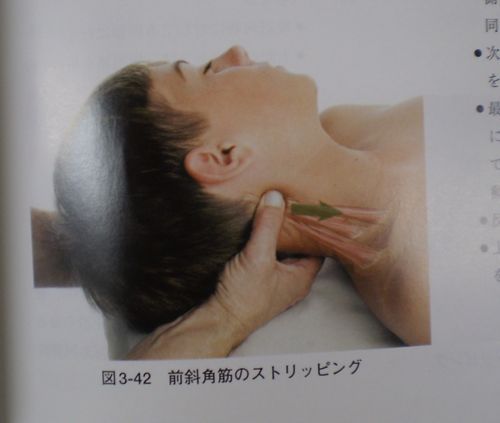 慢性頭痛の解消法! 慢性頭痛の解消法!