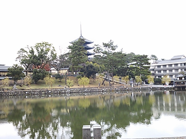猿沢の池のほとりで休憩 猿沢の池のほとりで休憩