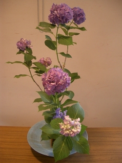 なごみ華房 和風のお花 紫陽花の生花