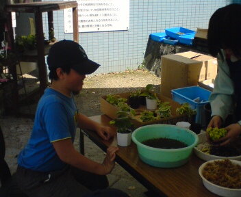 花の文化園お散歩記(5)苔玉作りに挑戦