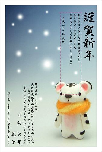 NC-100194年賀
