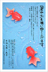 梅雨明けたぁ~ら暑中見舞い!