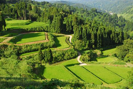 新潟･松之山えんでみねかぇ