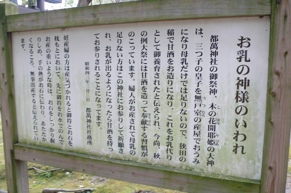 『神話発祥の地』をじっくり味わう宮崎の神社・歴史めぐり
