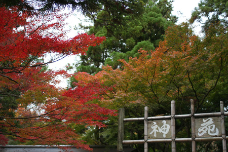 いにしえの都＊ロマンチックな奈良の旅