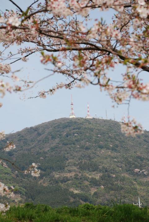 防府・山口 〜寺社と季節の花を訪ねる、癒やしのドライブ〜