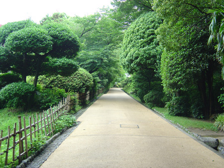 愛媛・伊予路（いよじ）をめぐる旅